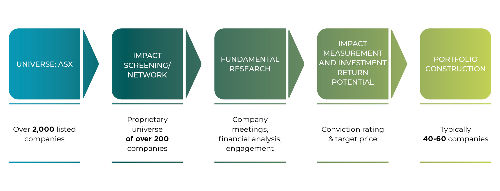 NS Our Investment Process2